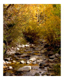 Colorado Stream 5561