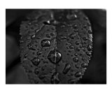 Droplets
