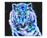 Electric Cat