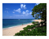 North Shore Stroll