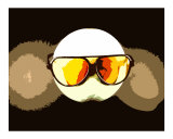 Sun Shades