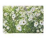 Shaded Daisies