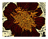 Red Flower