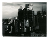 San Francisco Skyline