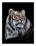 Tiger Portrait