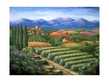 Tuscan Vineyard and Village