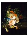 A Carnation  Morning Glory and Other Flowers by Rachel Ruysch