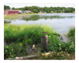 Wellfleet Pond