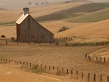 Barn and Wheat Fields