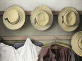 Amish Study 18