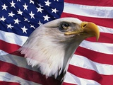 Bald Eagle and American Flag