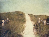 Beach Trail