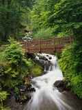 Bridge over Waterfall