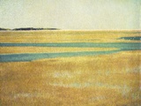 Cape Cod Tidelands 2