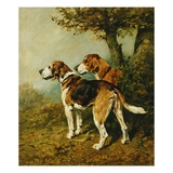 Cossack and Ringwood