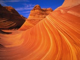 Coyote Butte's Sandstone Stripes