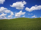 Field of Green under Scattered Clouds