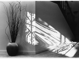 Gower Road Shadows