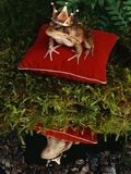 Frog Prince Sitting by Pond