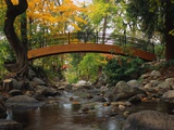 Footbridge over Stream