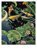 Goldfish Pond