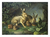 Hares and Leverets in a Rocky Lair