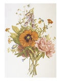 Illustration Depicting a Bouquet of Poppies  Carnations and Foxglove