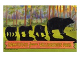 Greetings from Yellowstone Park