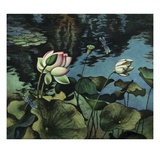 Lotus Collage