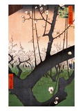 Plum Estate  Kameido (Kameido Umeyashiki)