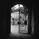 Plant Motif on an Iron Gate