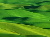 Palouse Hills