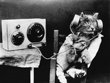 Pet Radio