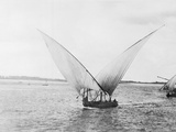 Sailboat on the Nile