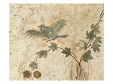 Detail of Roman Fresco Series at Oplonti Villa