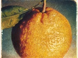 Tangerine