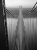 The George Washington Bridge