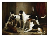 The Puckeridge Foxhounds Rantipole  Rummager  Racer  and Reveller