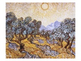 The Olive Trees