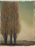 Three Poplars