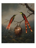 Two Hummingbirds Guarding an Egg Nest