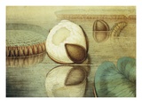 Victoria Regia or the Great Water Lily of America (View of the Form of the Flower)