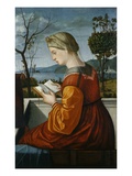 The Virgin Reading
