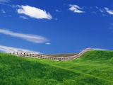 Wheat Field and Fence
