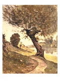 Willow Near the River