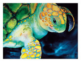 Timeless Wisdom  Hawaiian Sea Turtle