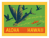 Flying Fish  Aloha Hawaii  c1940