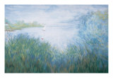 Sailboats on a Lake