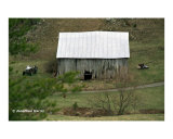 Old Country Barn