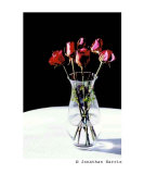 Roses for you!